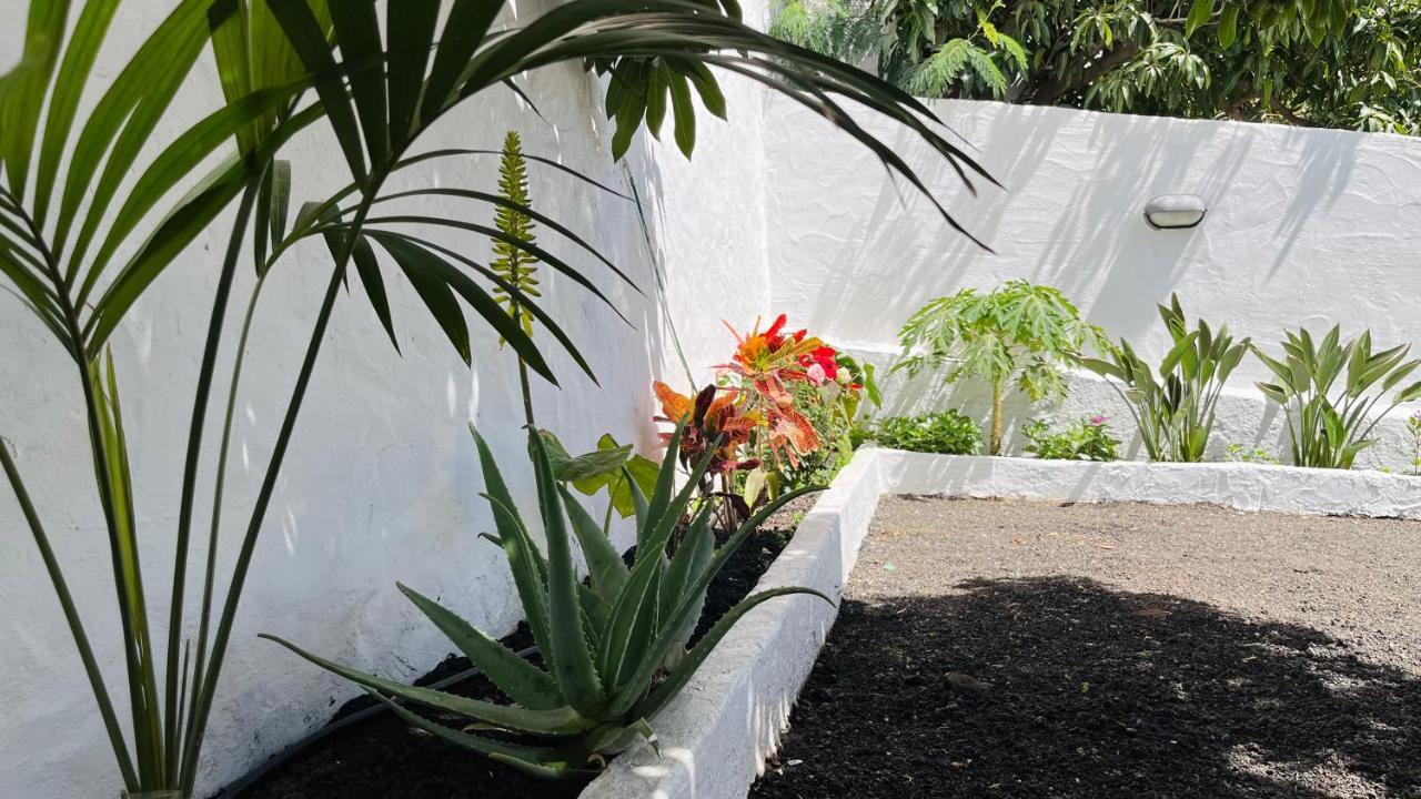 Jardín de La Suerte Vila Agaete  Exterior foto